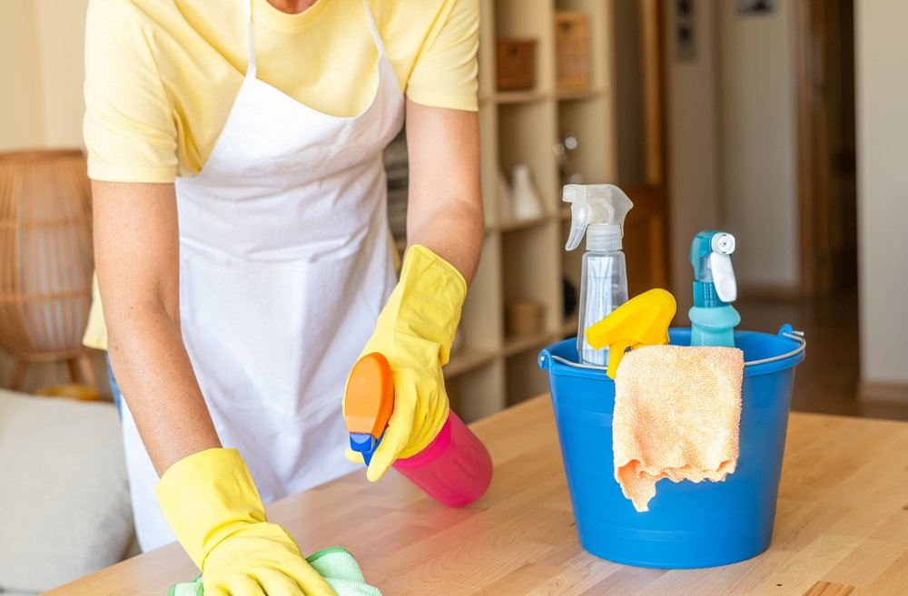 Regular Cleaners Regular Cleaning VS Deep Cleaning: What's The Difference?