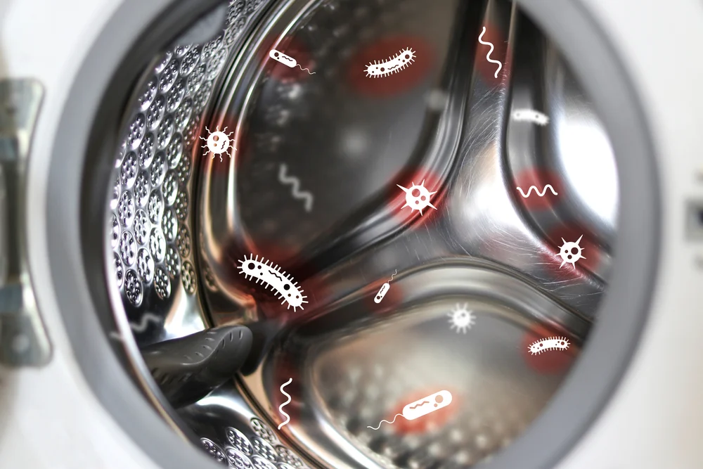 washing machine with bacteria