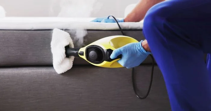 cleaning bed bugs