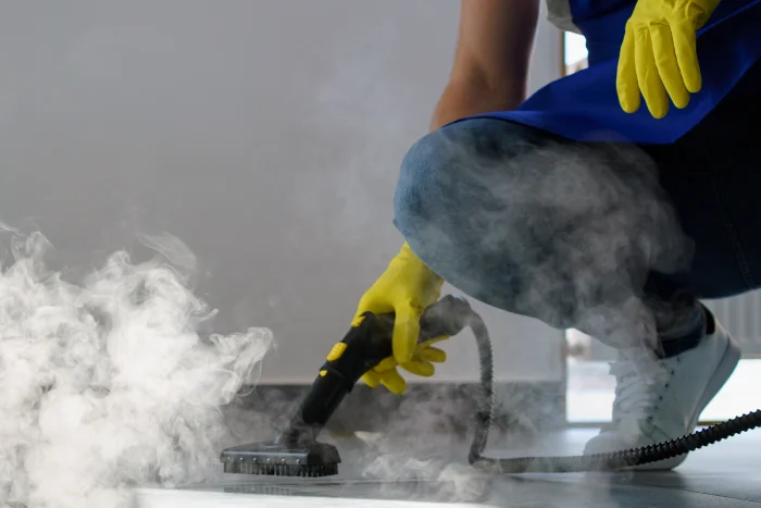 Carpet Cleaning Cost