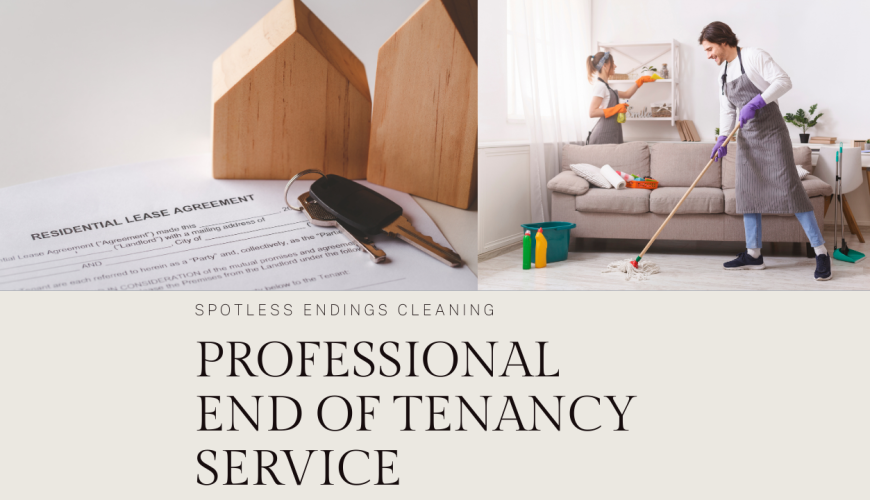 Instagram Post – Professional End of Tenancy Service Instagram Post - Professional End of Tenancy Service